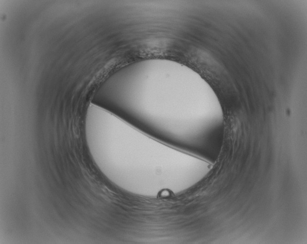 X0000067850224200604130927