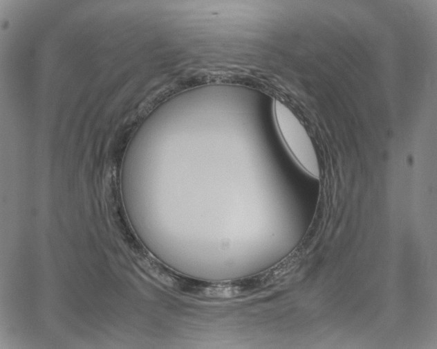 X0000067850225200604130927