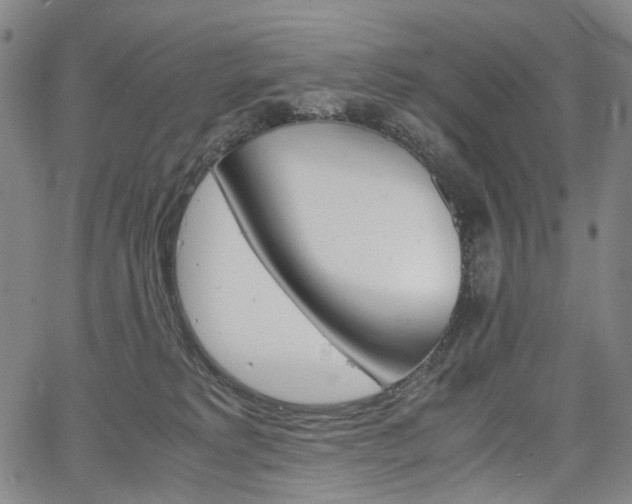 X0000067850229200604130927