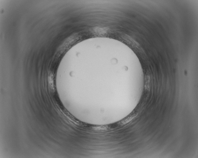 X0000067850238200604130927