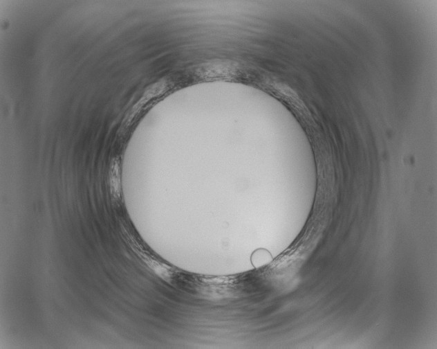 X0000067850240200604130927