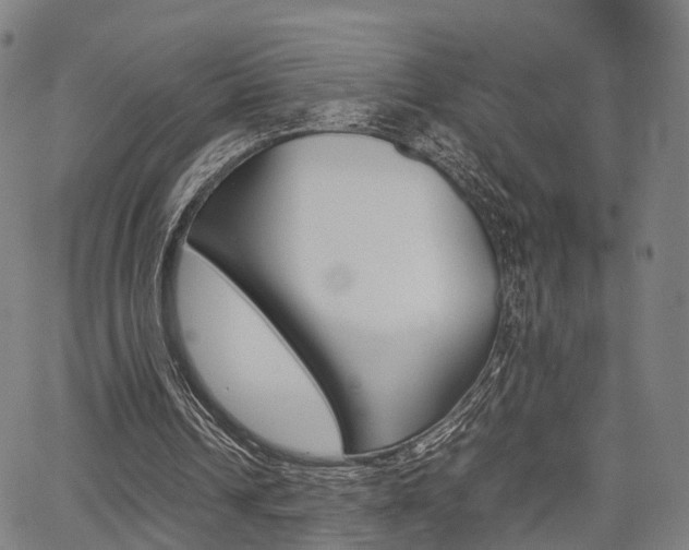 X0000067850242200604130926