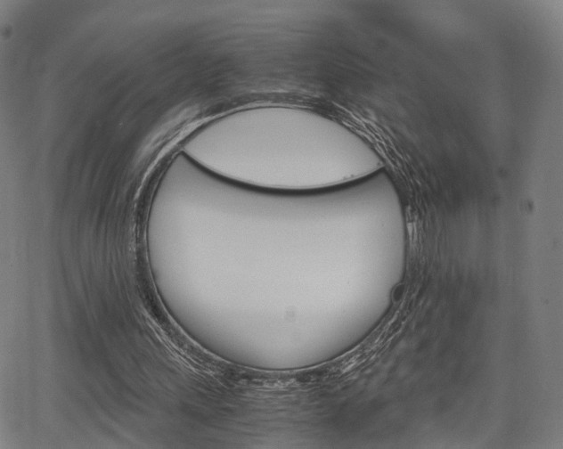 X0000067850243200604130926
