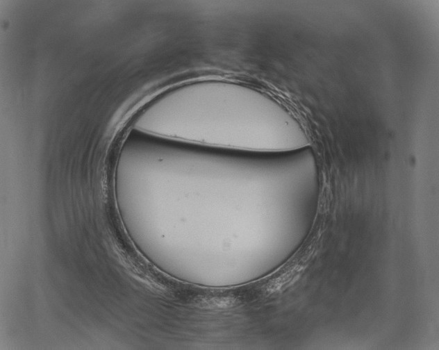 X0000067850247200604130926