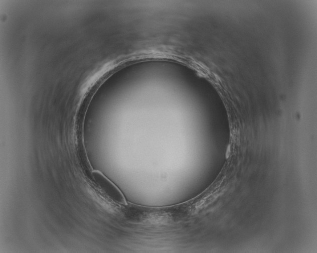X0000067850248200604130926