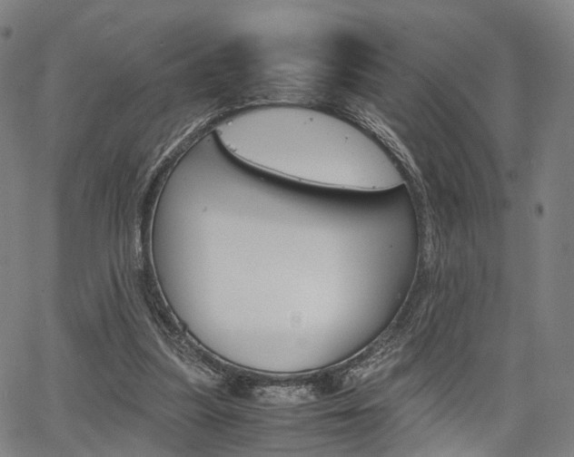 X0000067850251200604130926