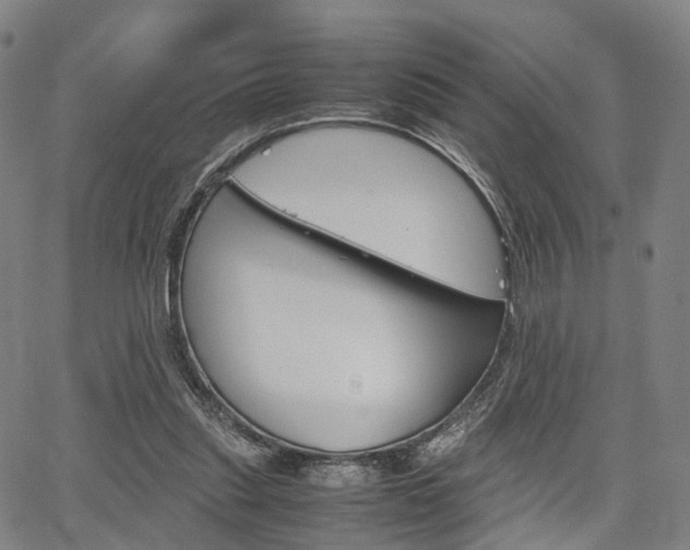 X0000067850253200604130926