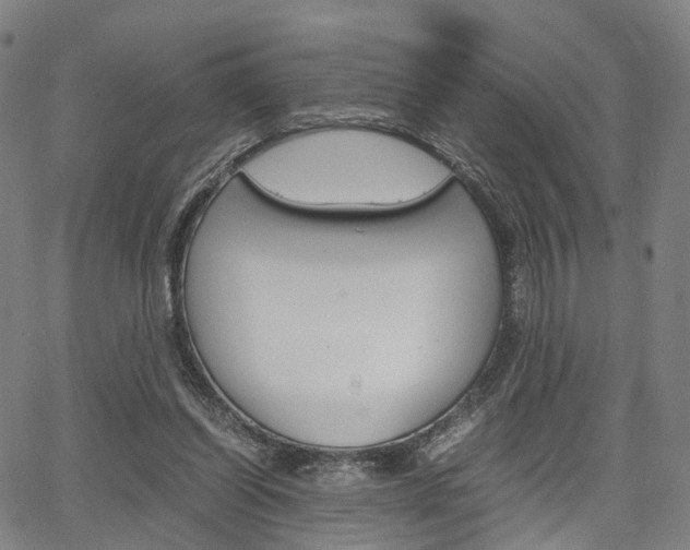 X0000067850254200604130926