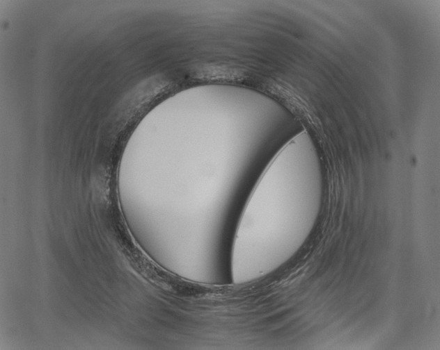 X0000067850255200604130926