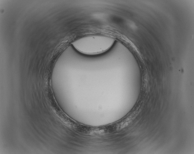 X0000067850257200604130926