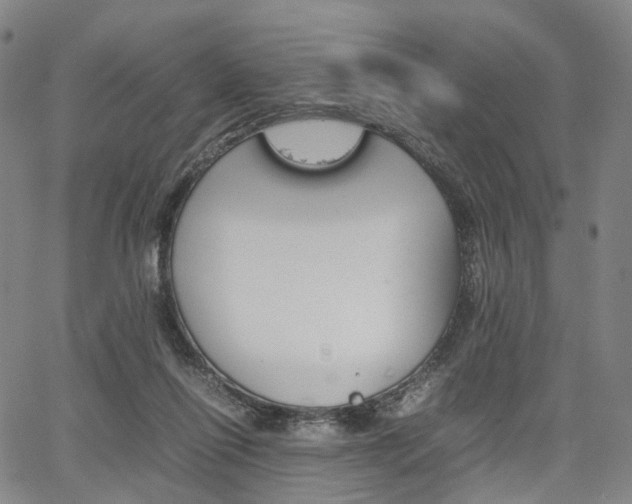 X0000067850262200604130927
