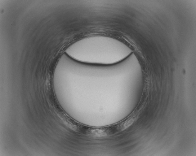 X0000067850265200604130927