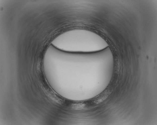 X0000067850266200604130927