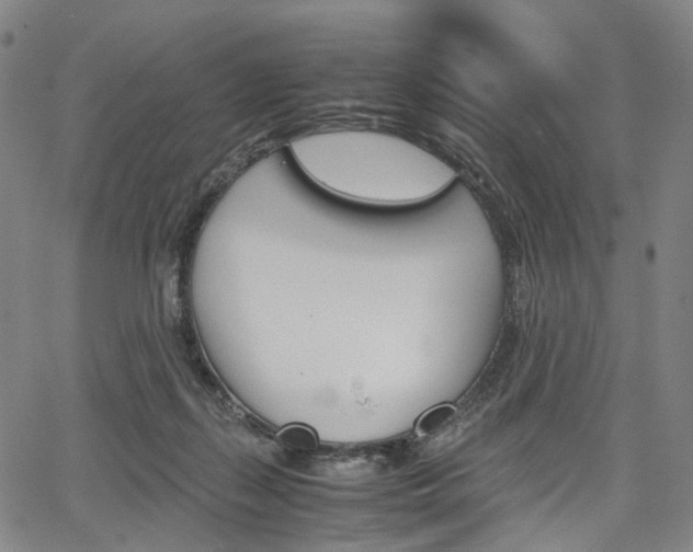 X0000067850267200604130927