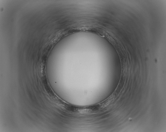 X0000067850268200604130927