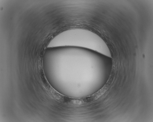 X0000067850272200604130927