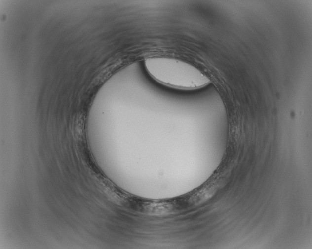 X0000067850277200604130927