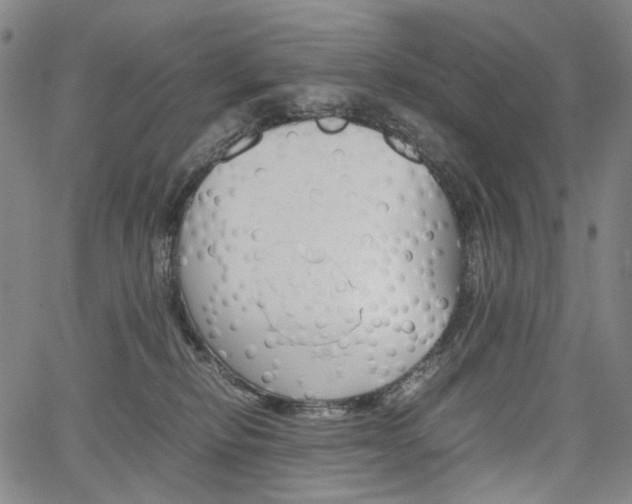 X0000067850278200604130927