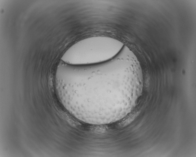X0000067850282200604130927