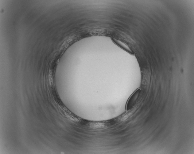 X0000067850287200604130927