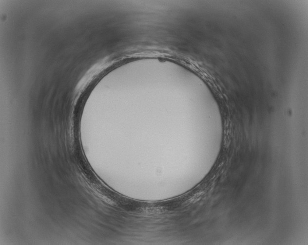 X0000067850296200604130926