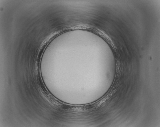 X0000067850298200604130926