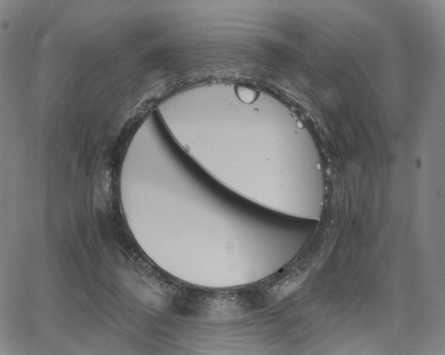 X0000067850308200604130926