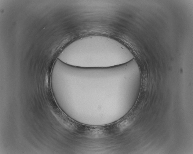 X0000067850310200604130926