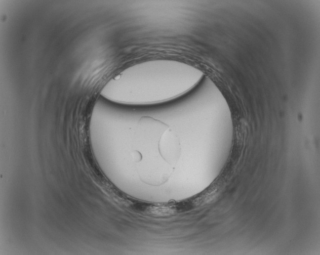 X0000067850327200604130926