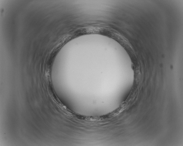 X0000067850329200604130926
