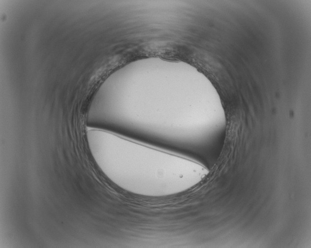 X0000067850335200604130925