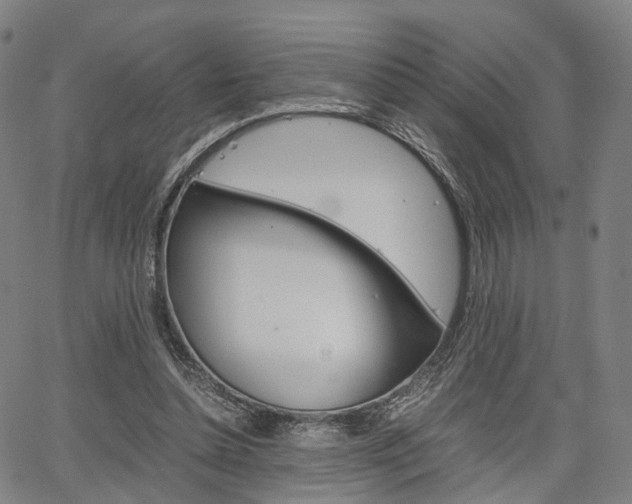 X0000067850348200604130925