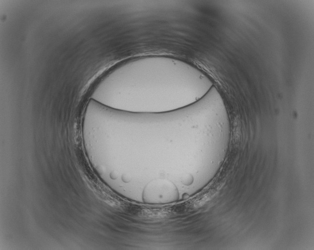 X0000067850351200604130925