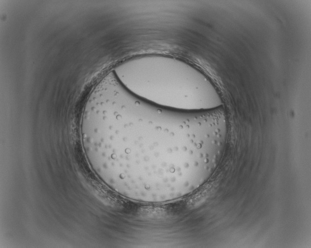 X0000067850354200604130925