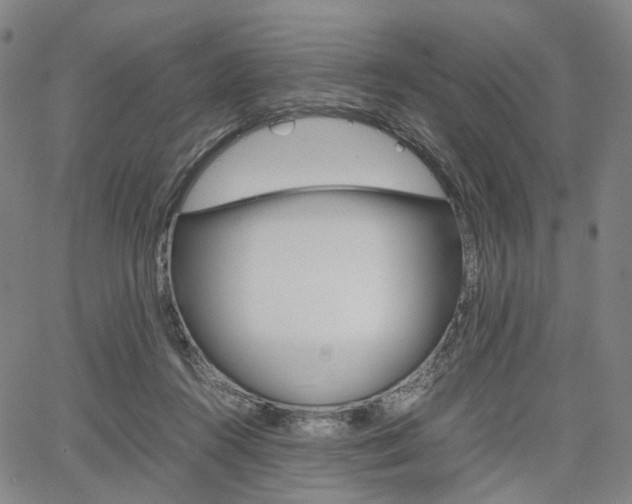 X0000067850360200604130925