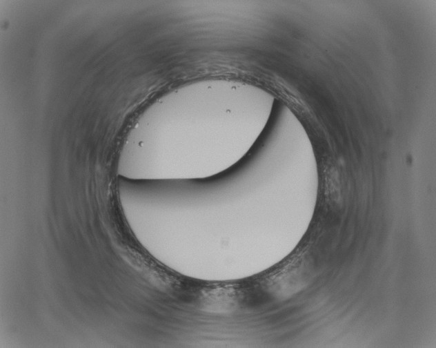 X0000067850362200604130925