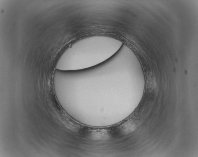 X0000067850363200604130925