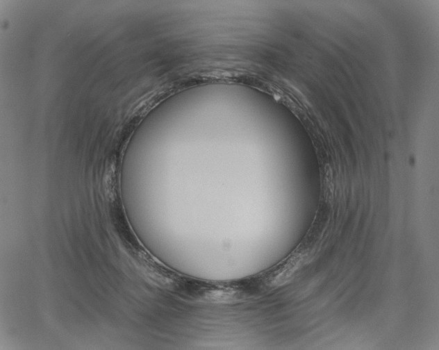 X0000067850364200604130925