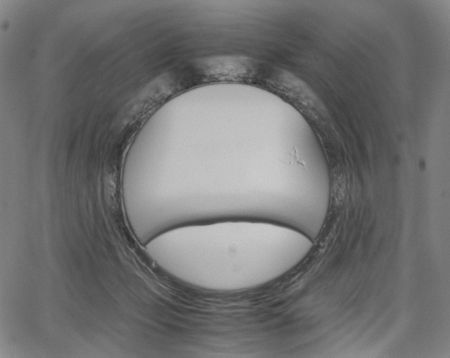 X0000067850365200604130925