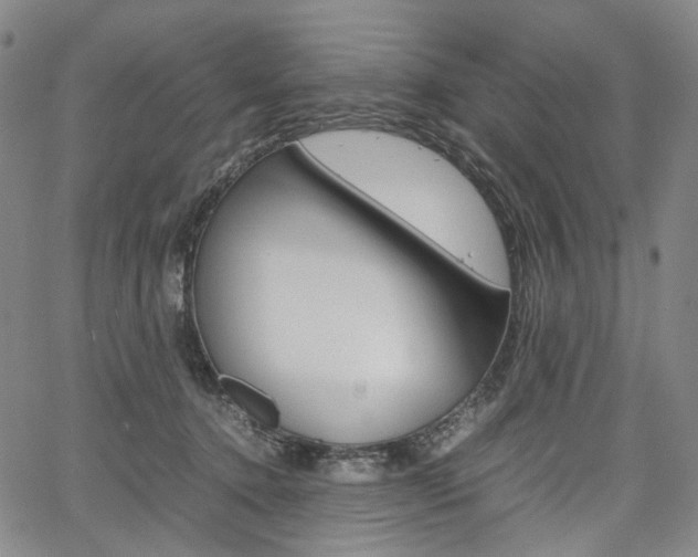 X0000067850368200604130925