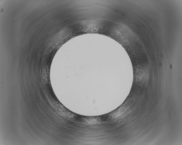 X0000067850370200604130925