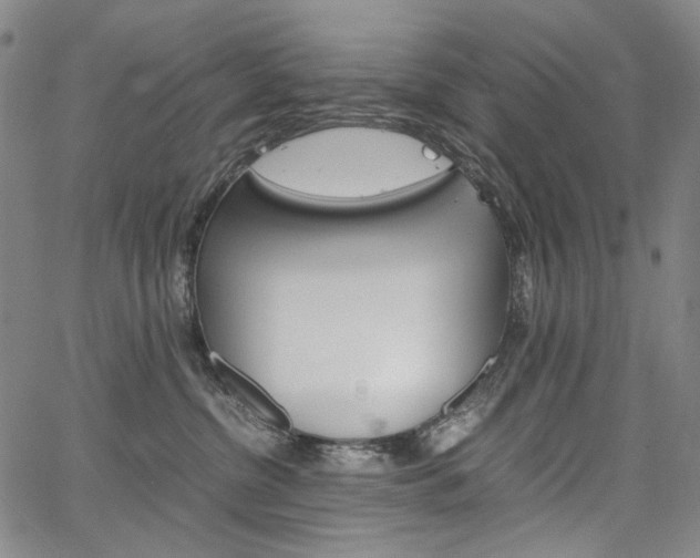 X0000067850380200604130925