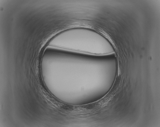 X0000067850387200604130925