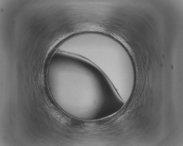 X0000067850391200604130925