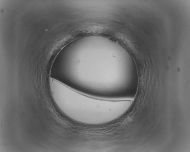 X0000067850403200604130924