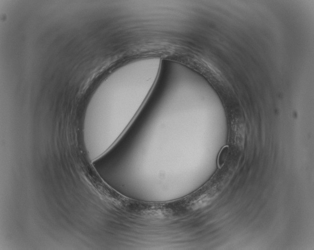X0000067850404200604130924