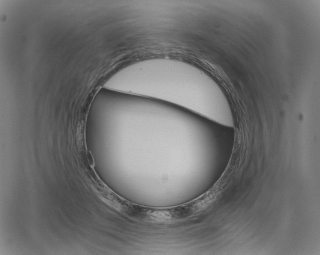 X0000067850409200604130924