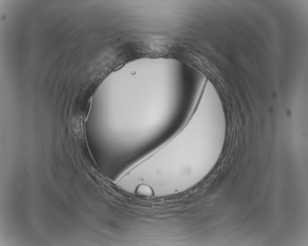 X0000067850425200604130924