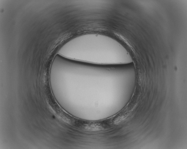 X0000067850451200604130923