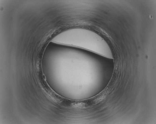 X0000067850452200604130923